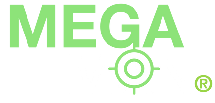 megaman 1